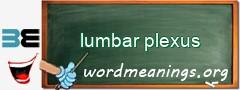 WordMeaning blackboard for lumbar plexus